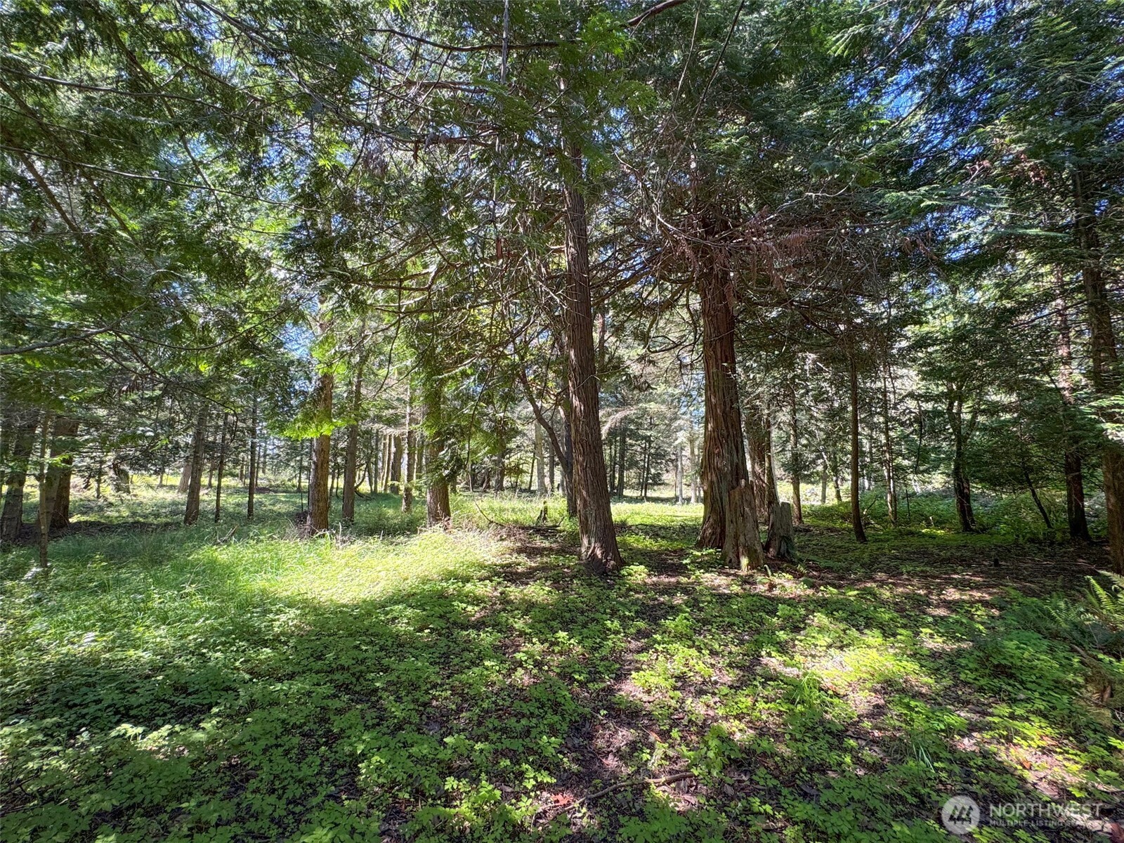 392 Holgerson Road Sequim WA 98382