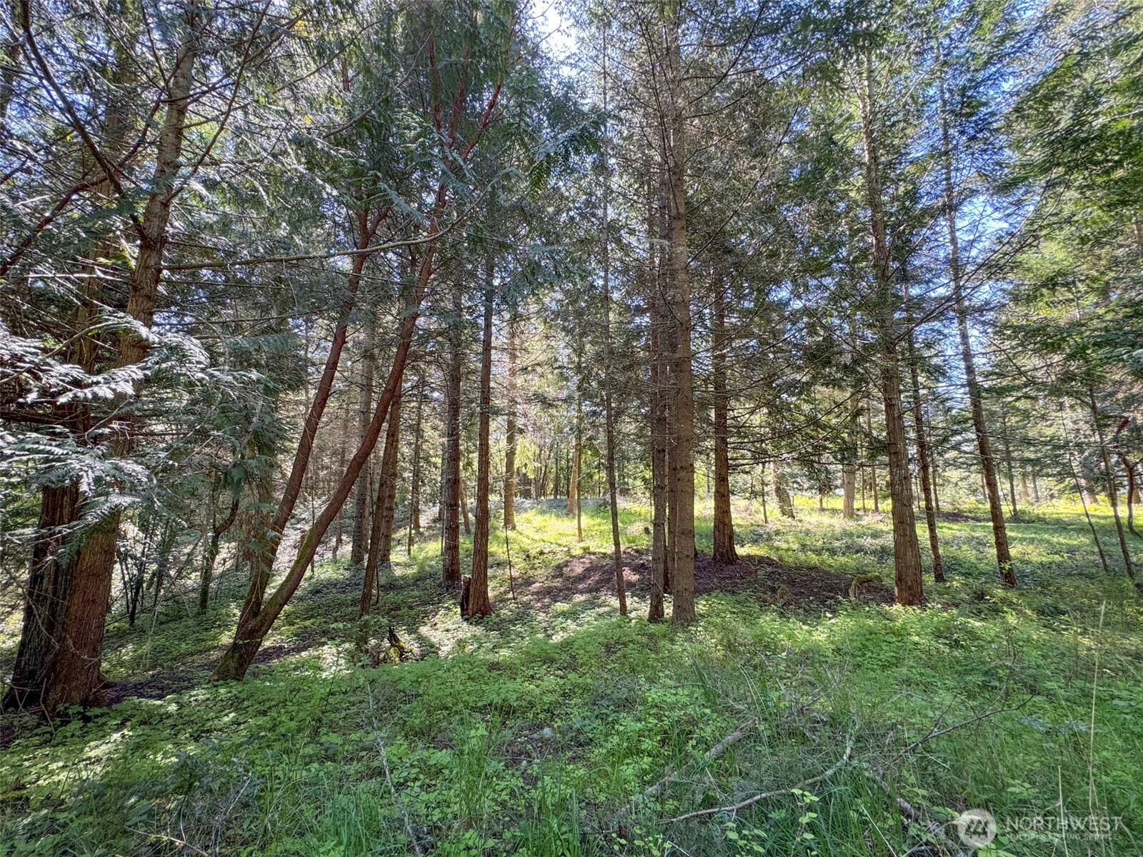 392 Holgerson Road Sequim WA 98382