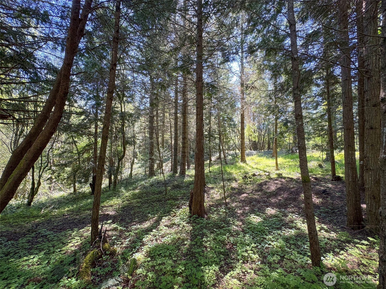 392 Holgerson Road Sequim WA 98382