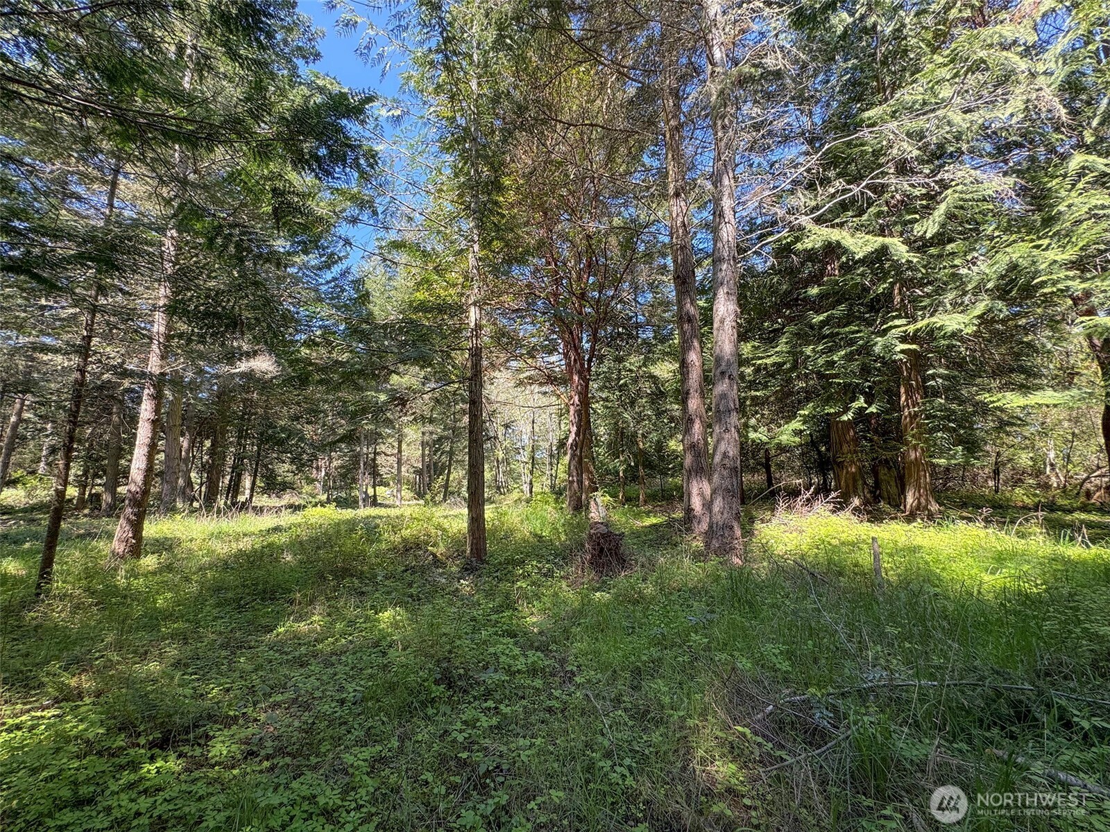 392 Holgerson Road Sequim WA 98382