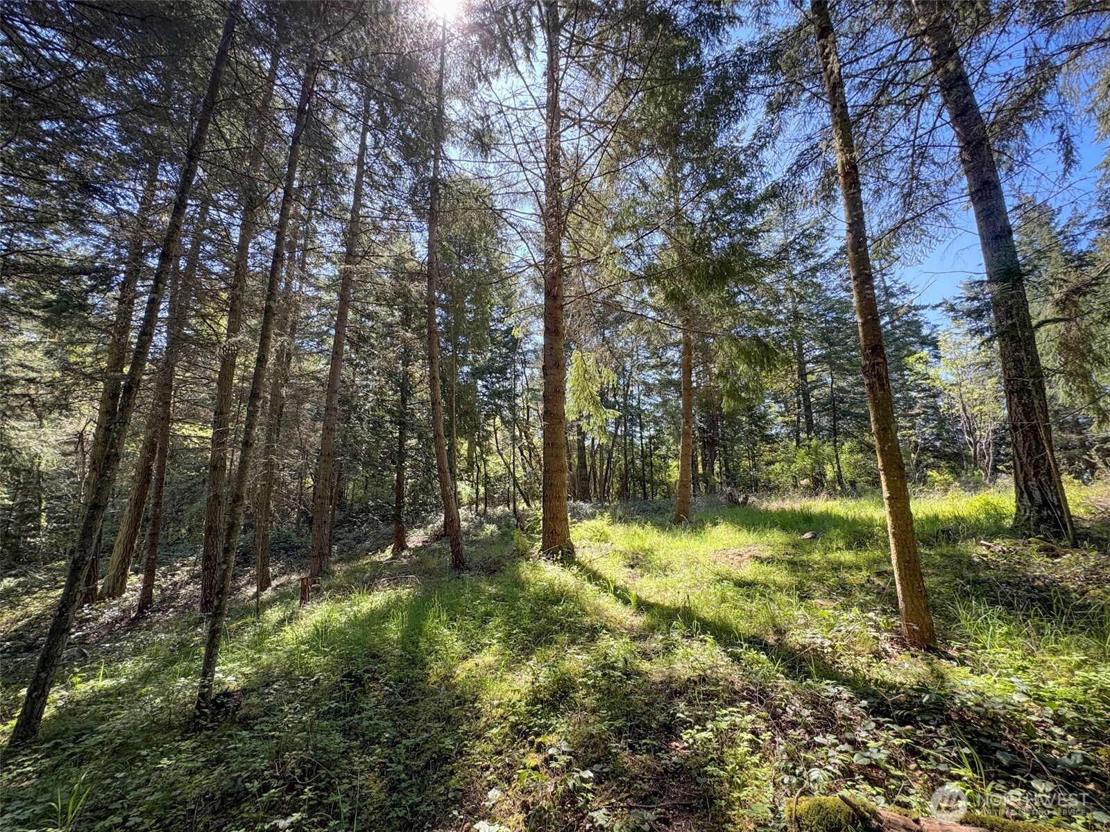 392 Holgerson Road Sequim WA 98382
