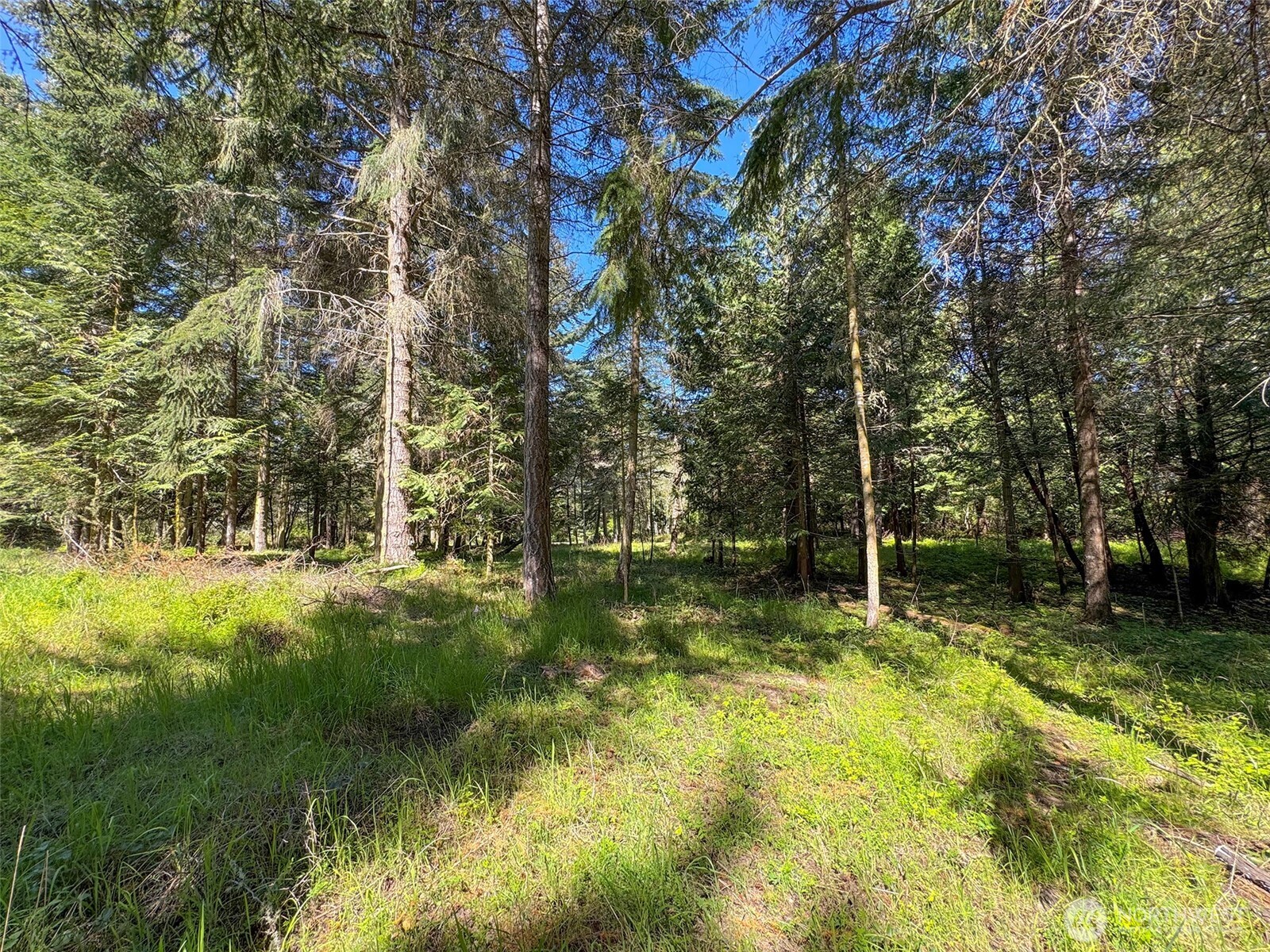 392 Holgerson Road Sequim WA 98382