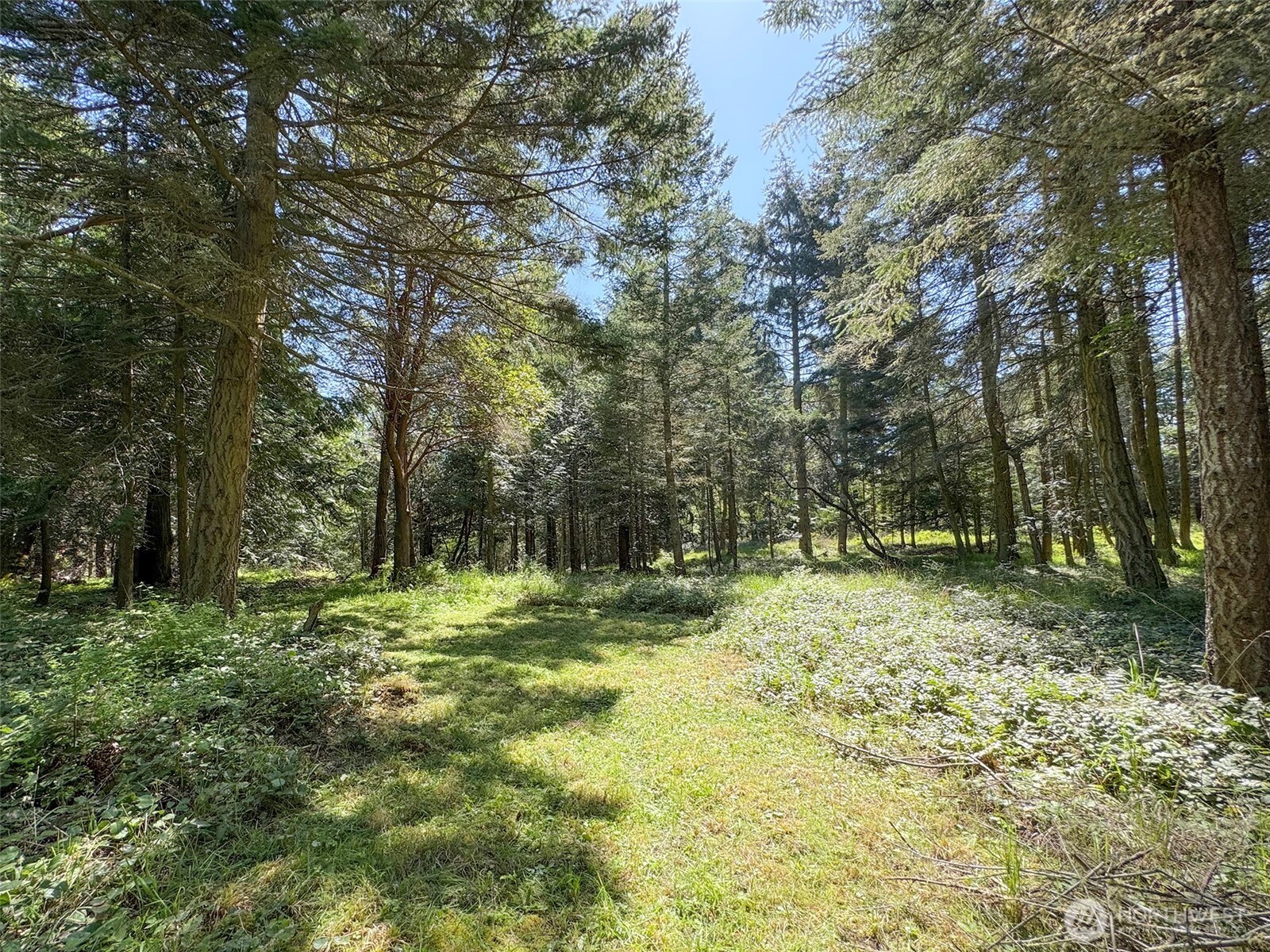 392 Holgerson Road Sequim WA 98382