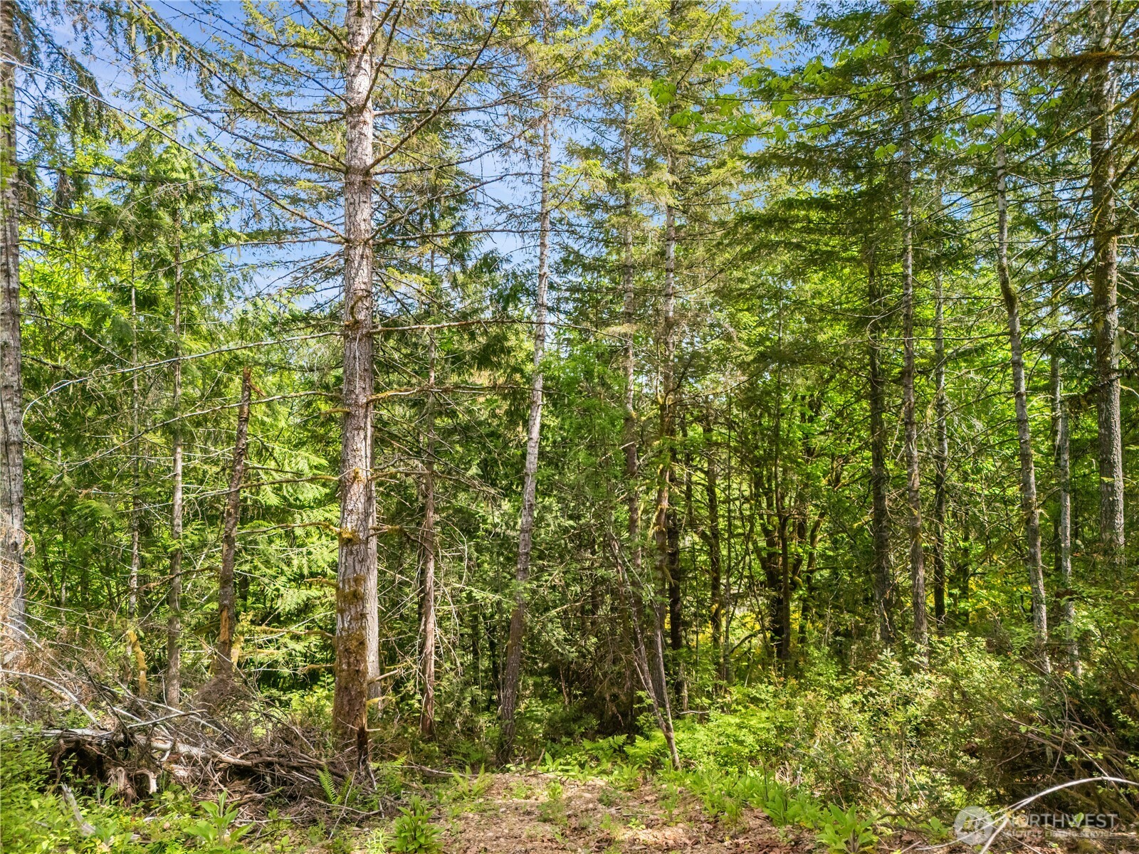 0 E Gerbing View Drive Union WA 98592