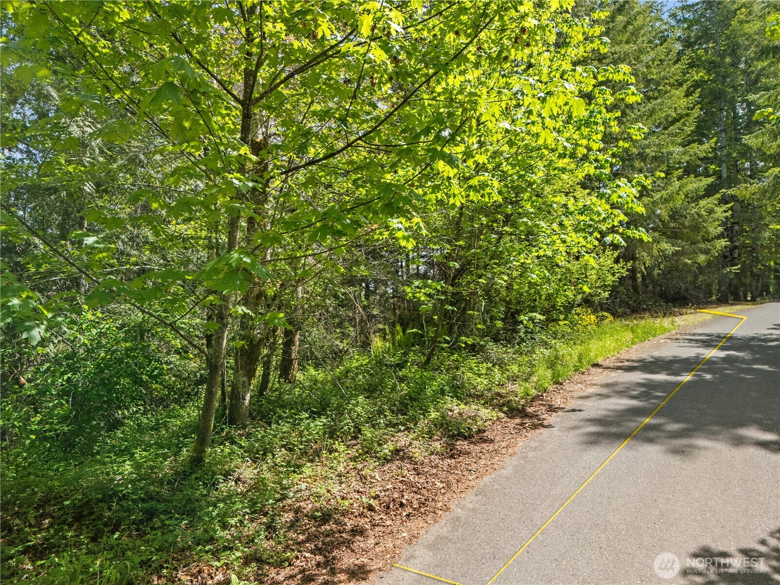 0 E Gerbing View Drive Union WA 98592