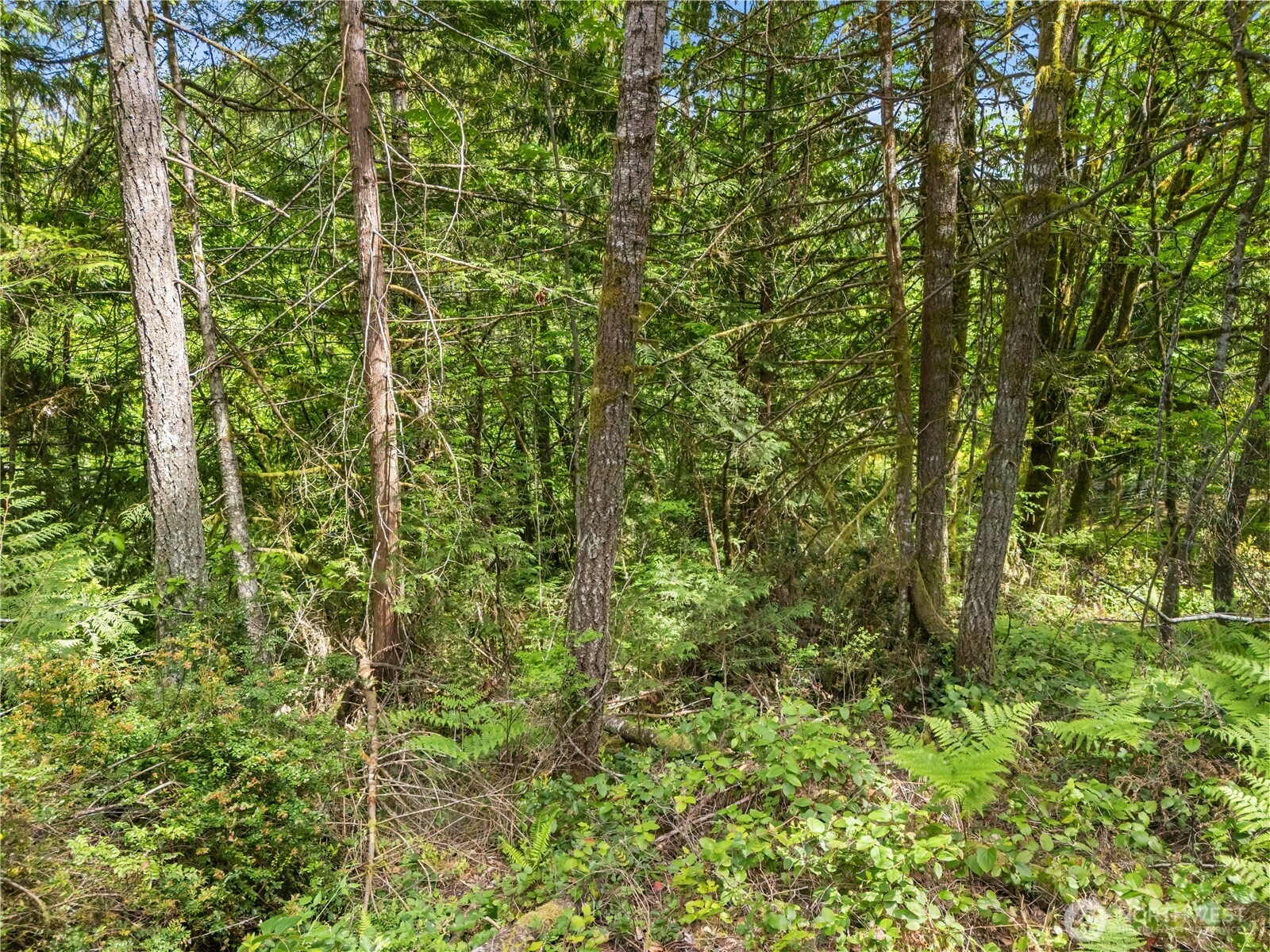 0 E Gerbing View Drive Union WA 98592