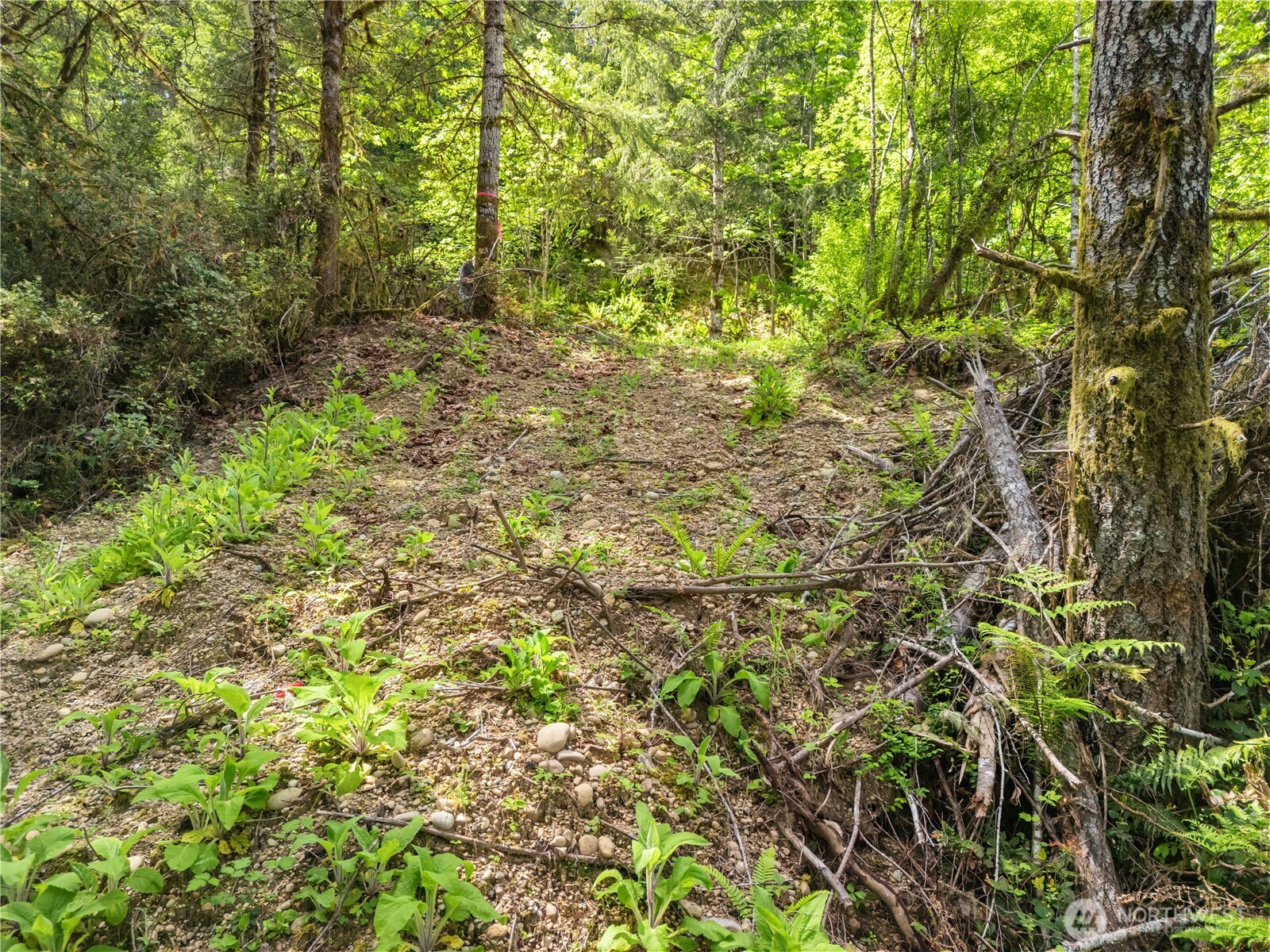 0 E Gerbing View Drive Union WA 98592