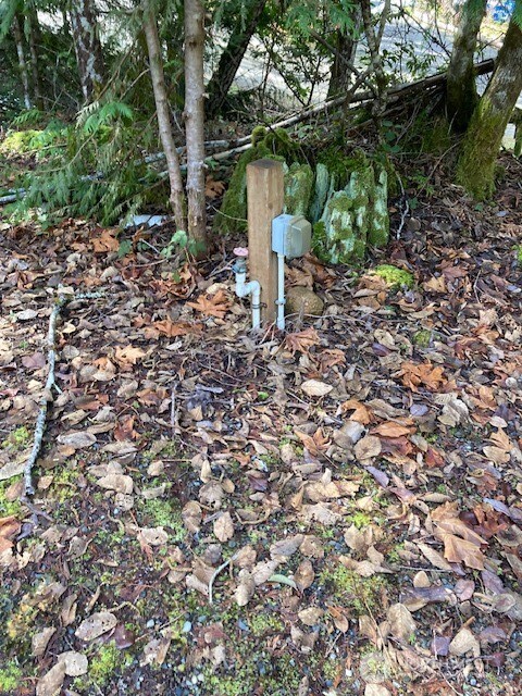 100 N Dow Mountain Drive Hoodsport WA 98548