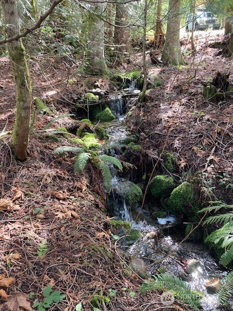 100 N Dow Mountain Drive Hoodsport WA 98548