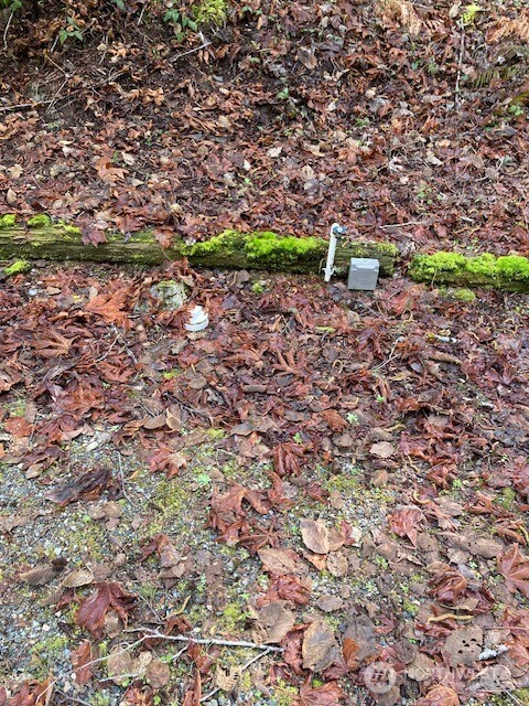 100 N Dow Mountain Drive Hoodsport WA 98548