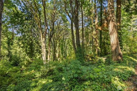 0 Sunrise Drive NE Bainbridge Island WA 98110