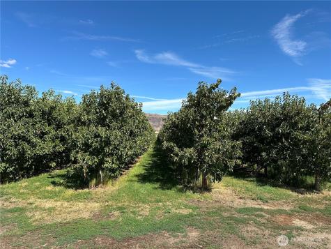 583 S Webb Avenue East Wenatchee WA 98802