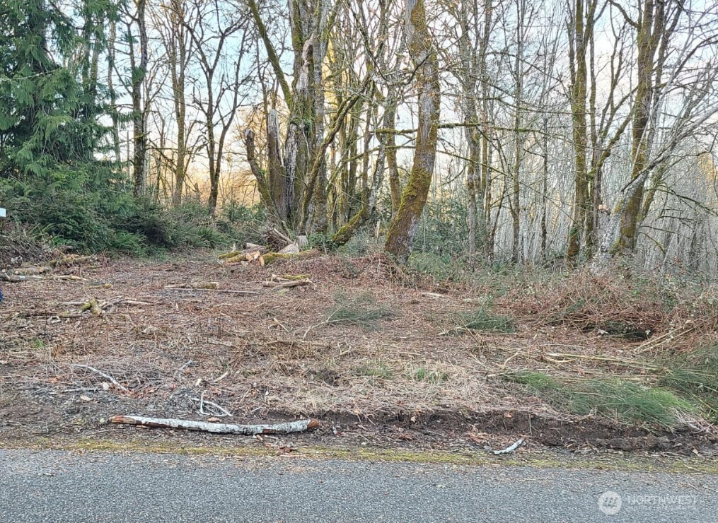 14817 24th Street SW Lakebay WA 98349
