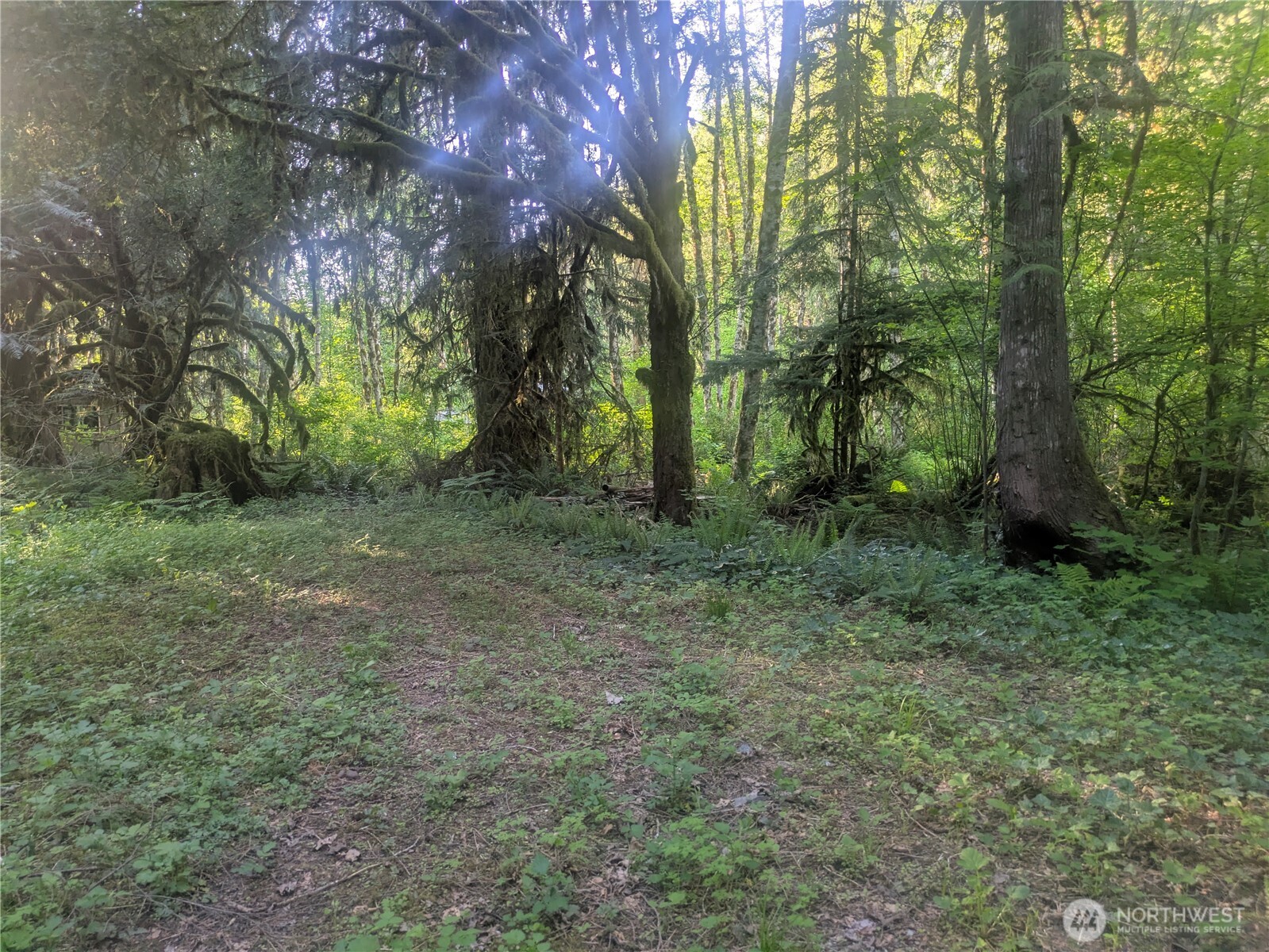 63323 W Cascade Way Marblemount WA 98267
