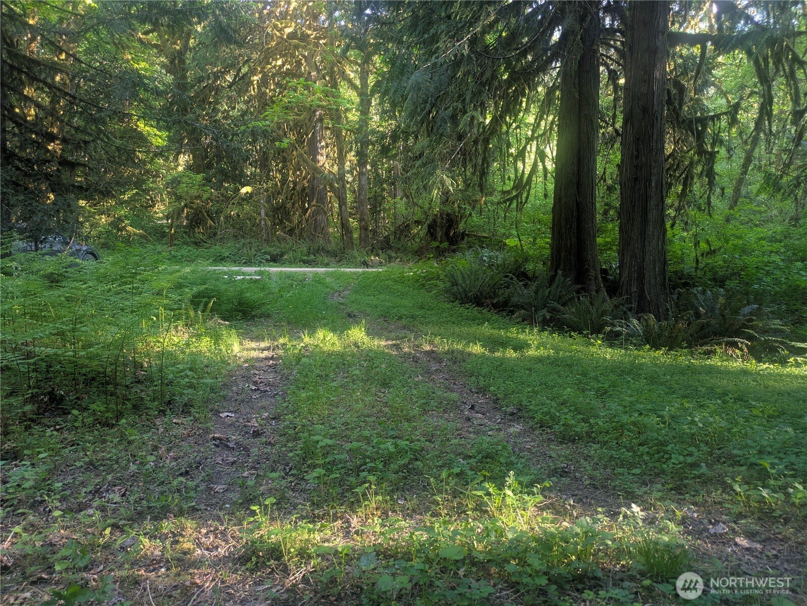 63323 W Cascade Way Marblemount WA 98267