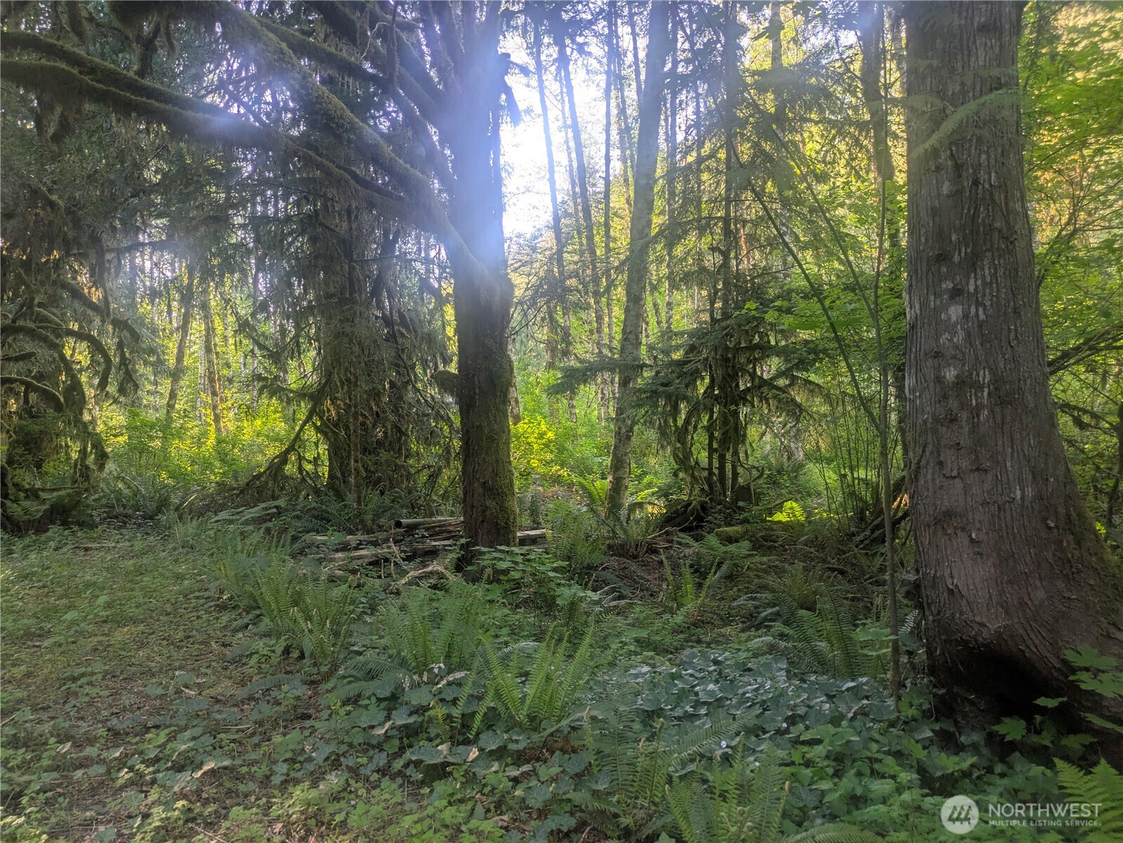 63323 W Cascade Way Marblemount WA 98267