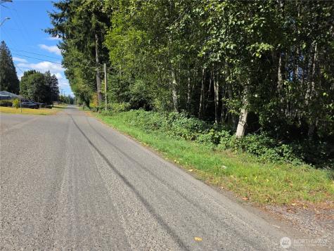 0 Garden Hill Road W Elma WA 98520