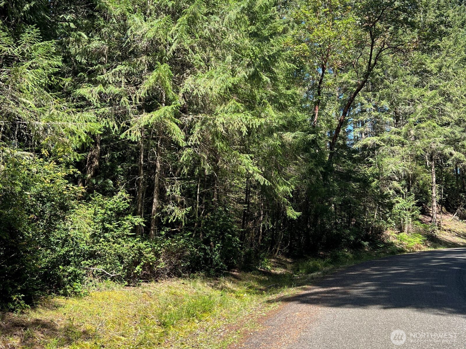 10919 Suncrest Drive Anderson Island WA 98303