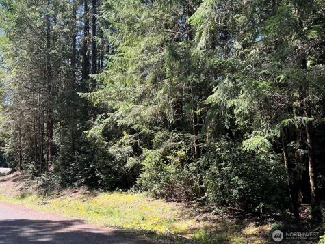 10919 Suncrest Drive Anderson Island WA 98303