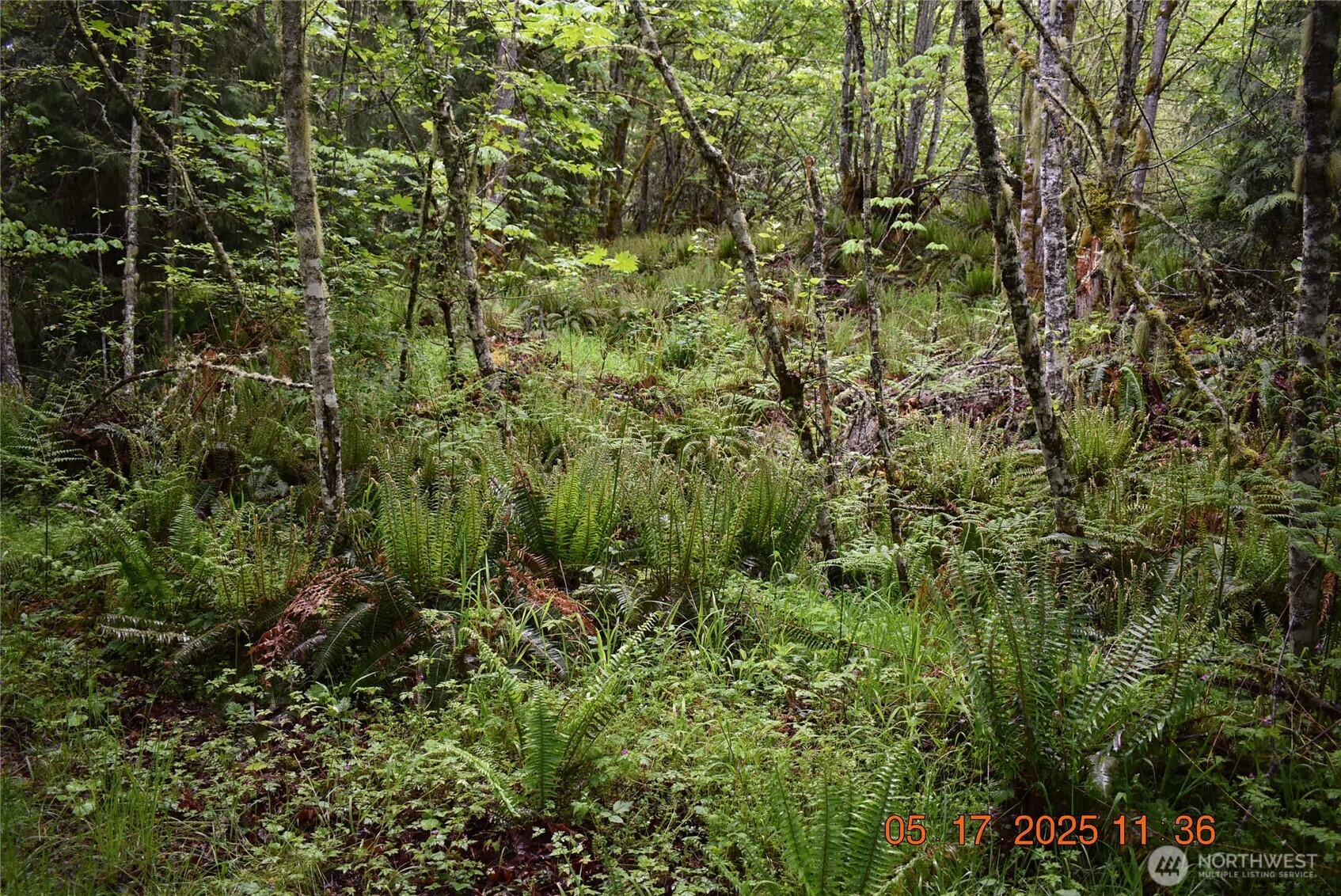 0 Township Line Road Port Angeles WA 98362
