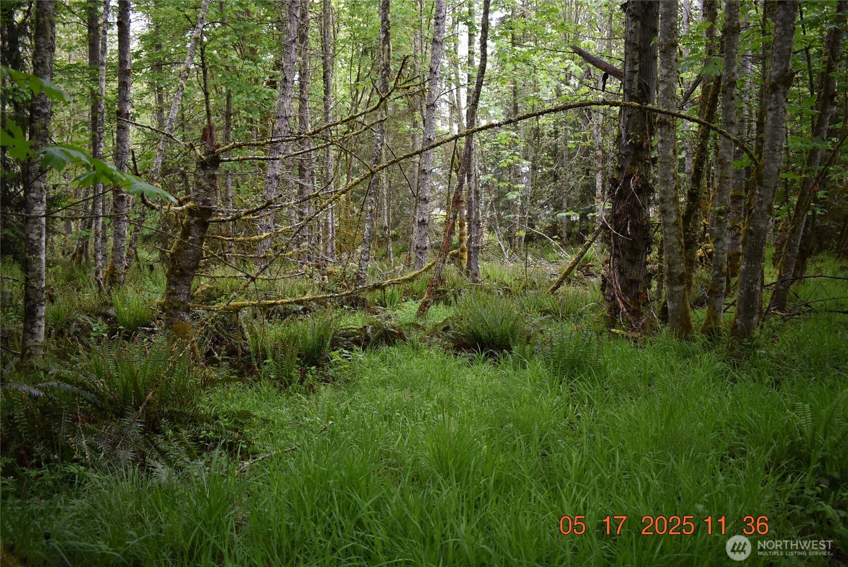0 Township Line Road Port Angeles WA 98362