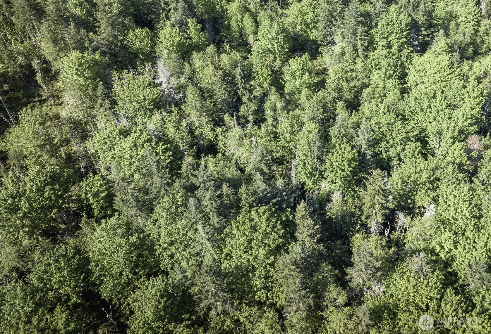 0 Township Line Road Port Angeles WA 98362