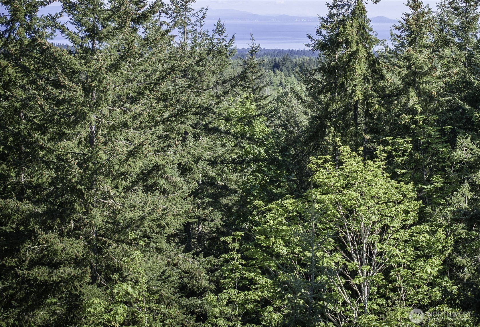 0 Township Line Road Port Angeles WA 98362