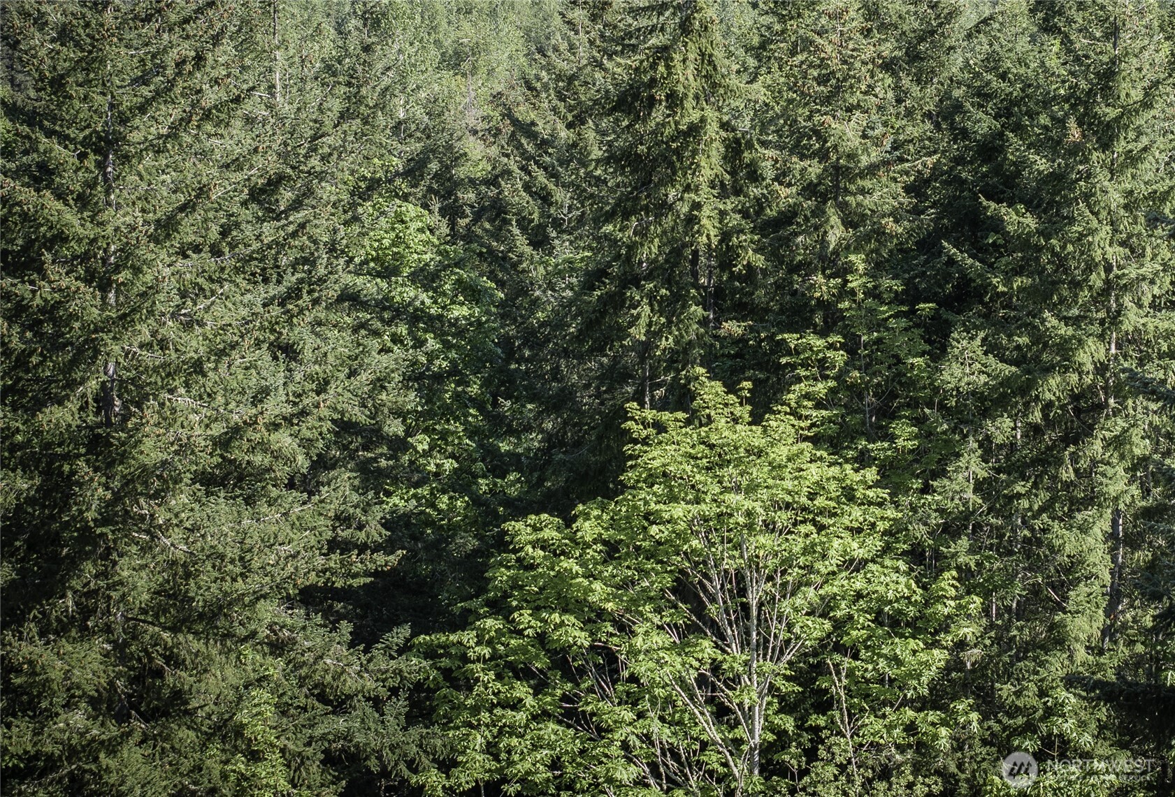 0 Township Line Road Port Angeles WA 98362