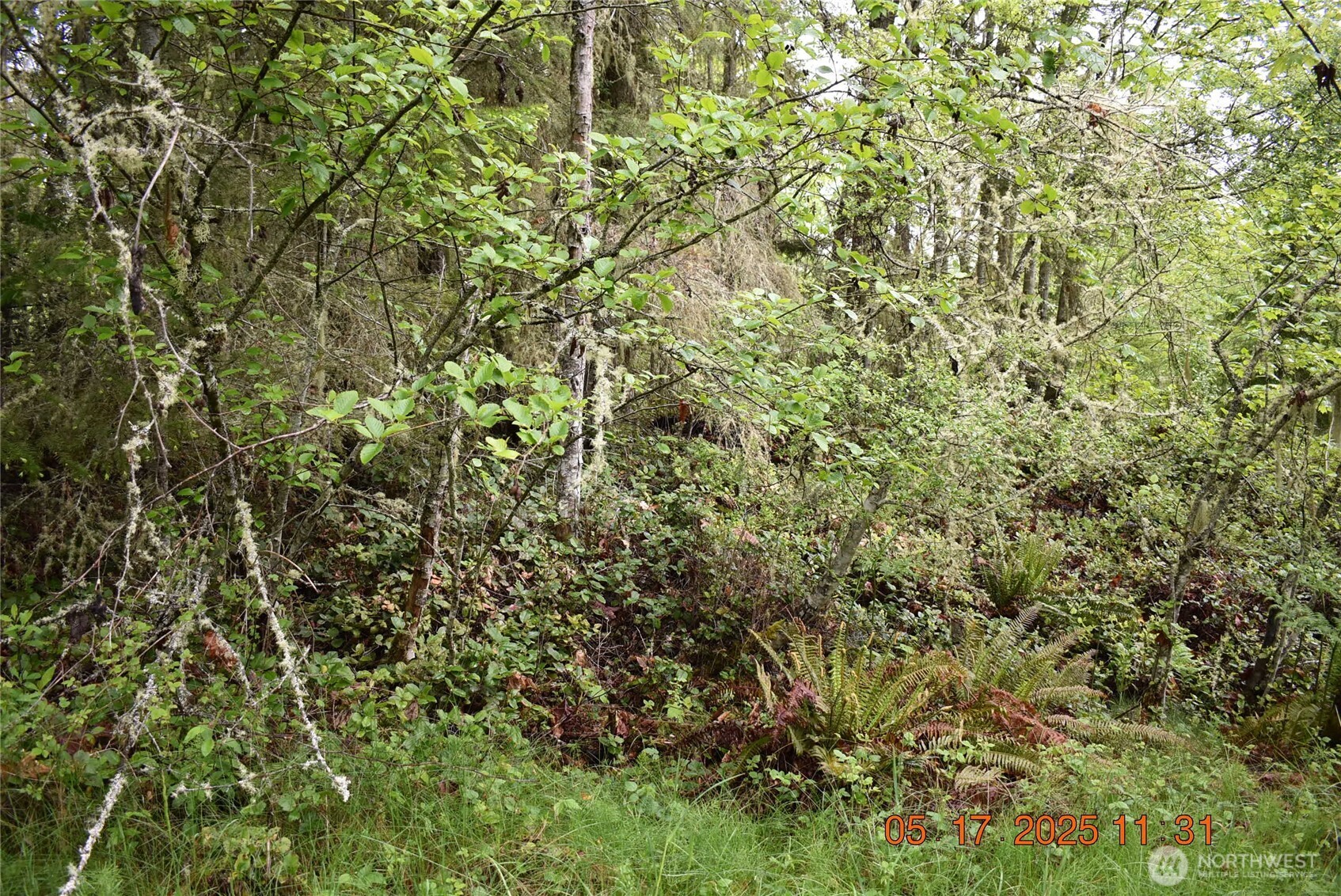 0 Township Line Road Port Angeles WA 98362