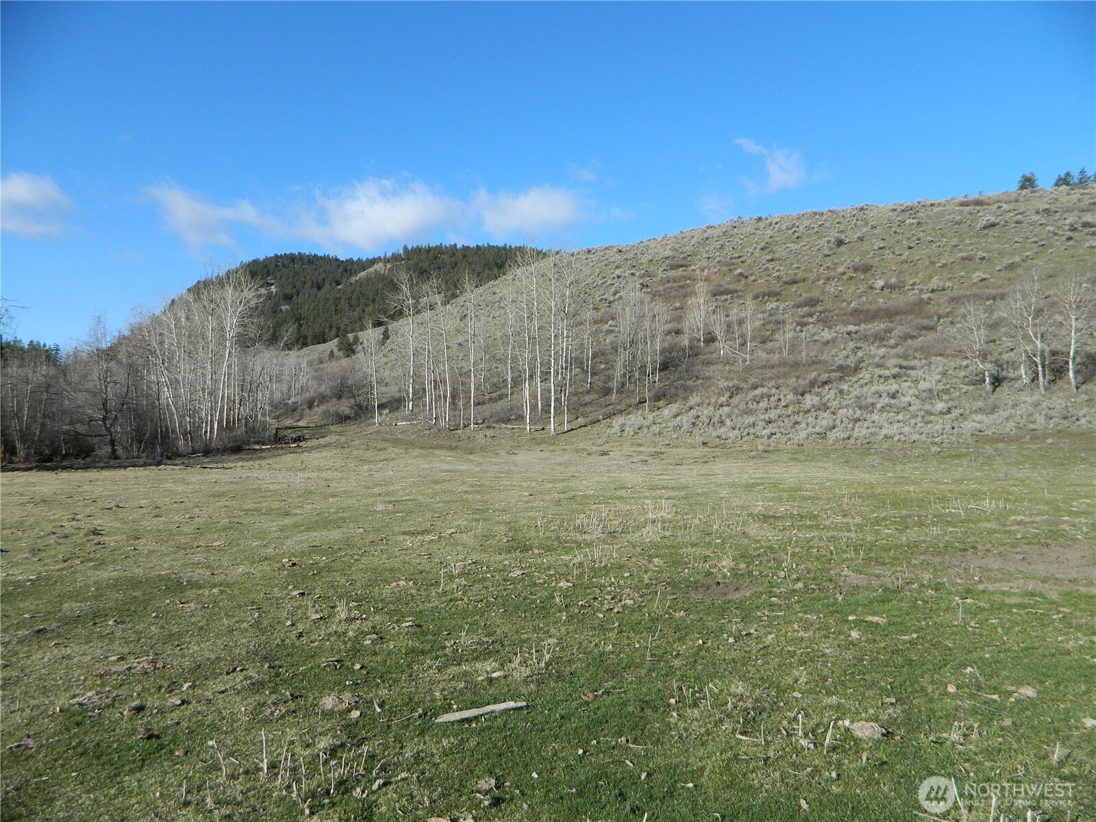 111 Tbd Ellemeham Mountain Ridge Road Tonasket WA 98855