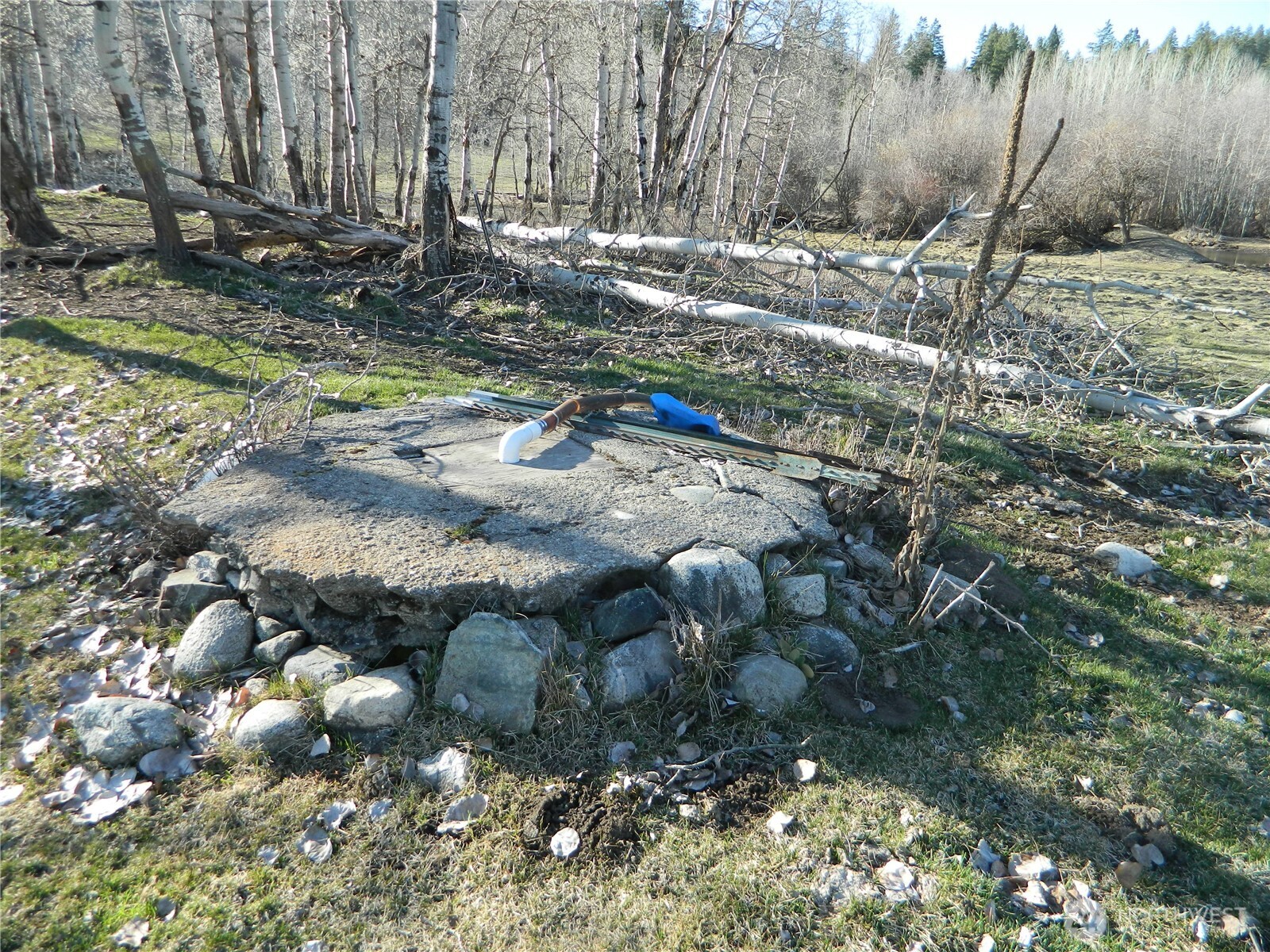 111 Tbd Ellemeham Mountain Ridge Road Tonasket WA 98855
