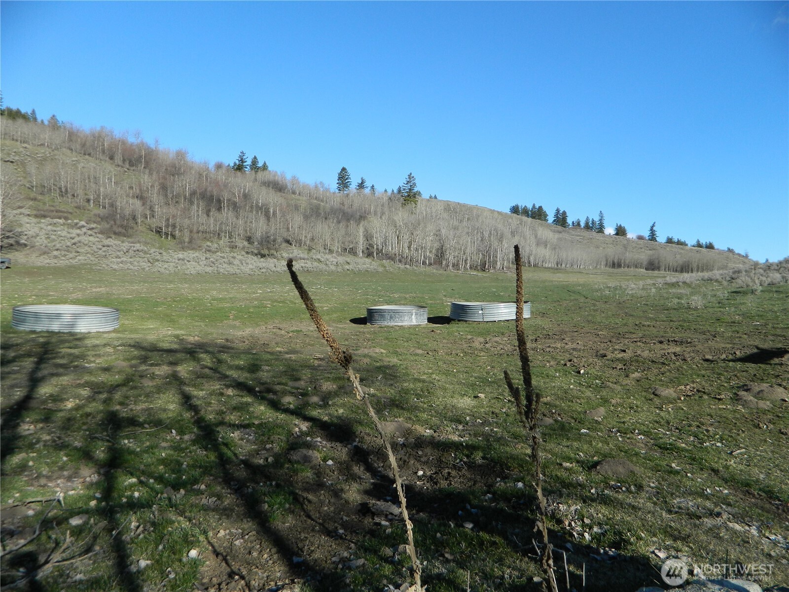 111 Tbd Ellemeham Mountain Ridge Road Tonasket WA 98855