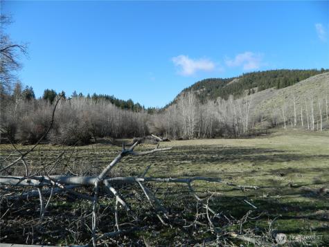 111 Tbd Ellemeham Mountain Ridge Road Tonasket WA 98855