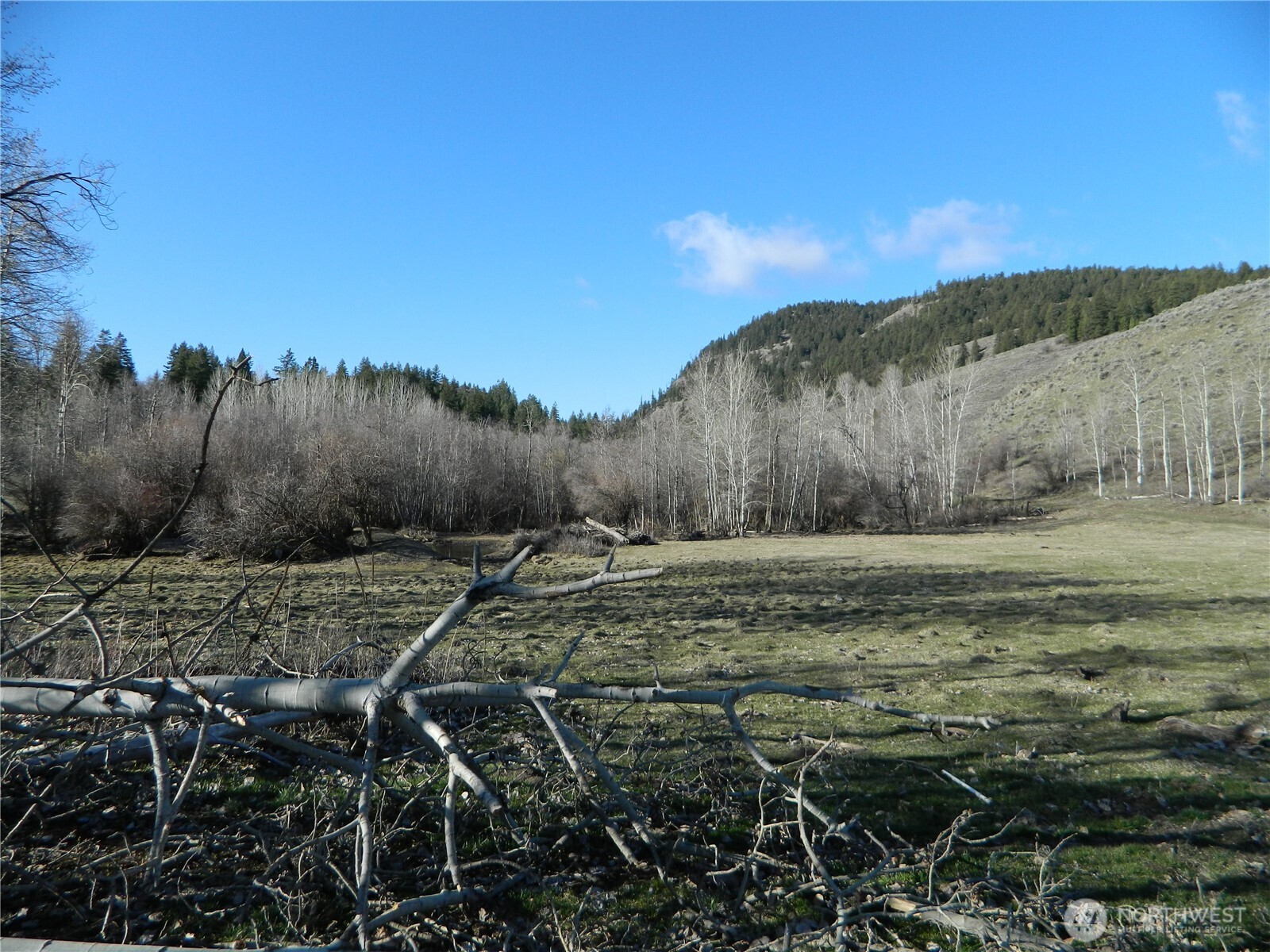 111 Tbd Ellemeham Mountain Ridge Road Tonasket WA 98855
