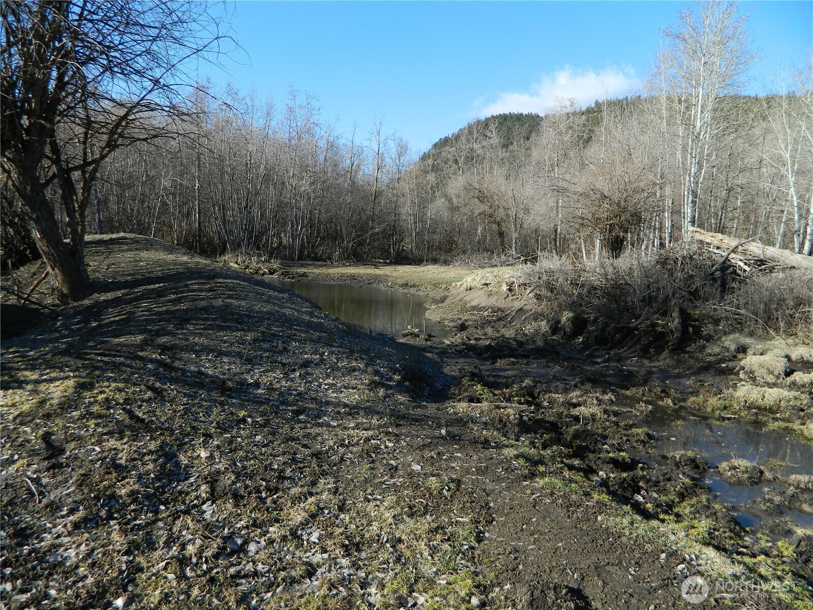 111 Tbd Ellemeham Mountain Ridge Road Tonasket WA 98855