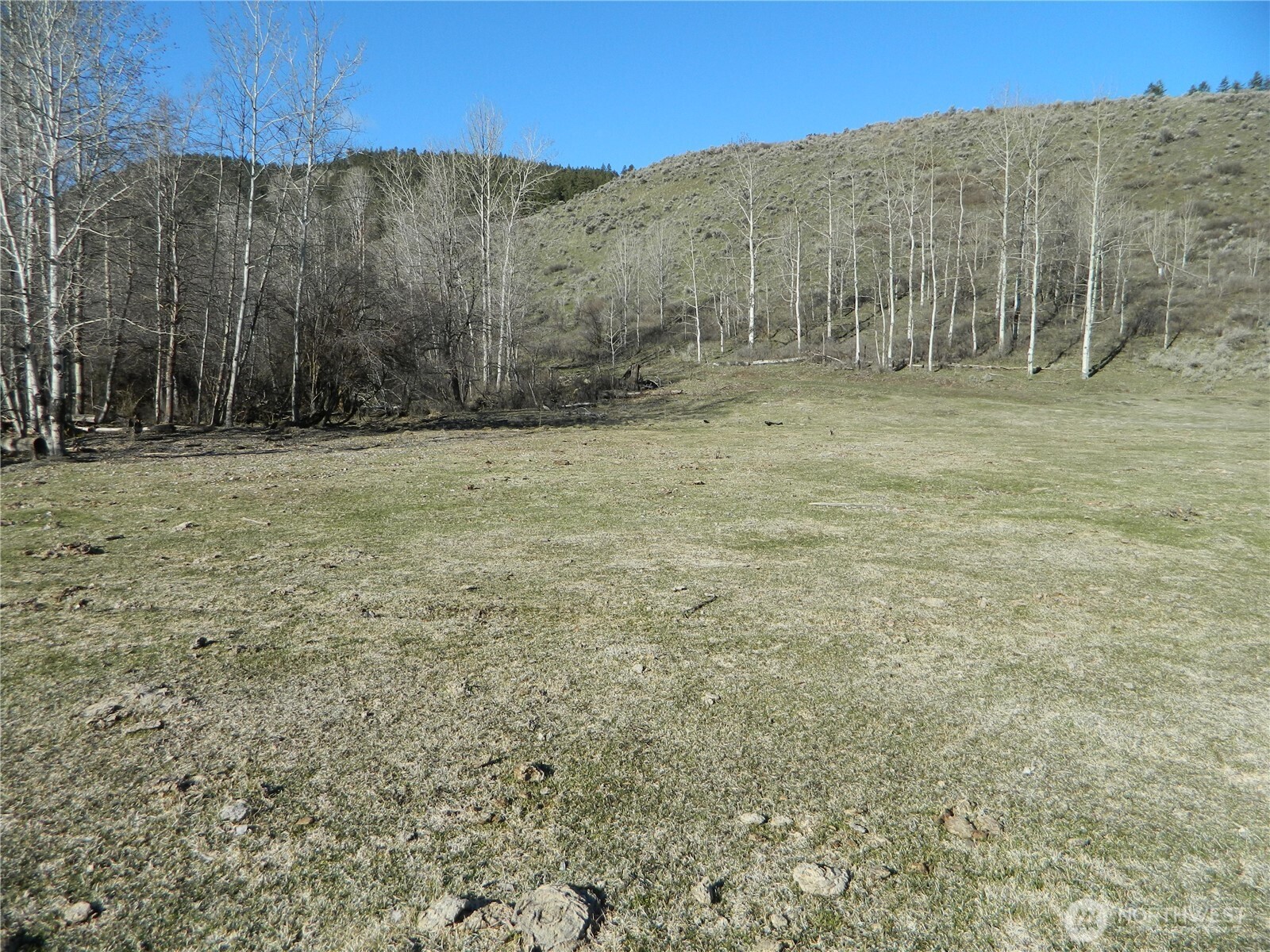 111 Tbd Ellemeham Mountain Ridge Road Tonasket WA 98855