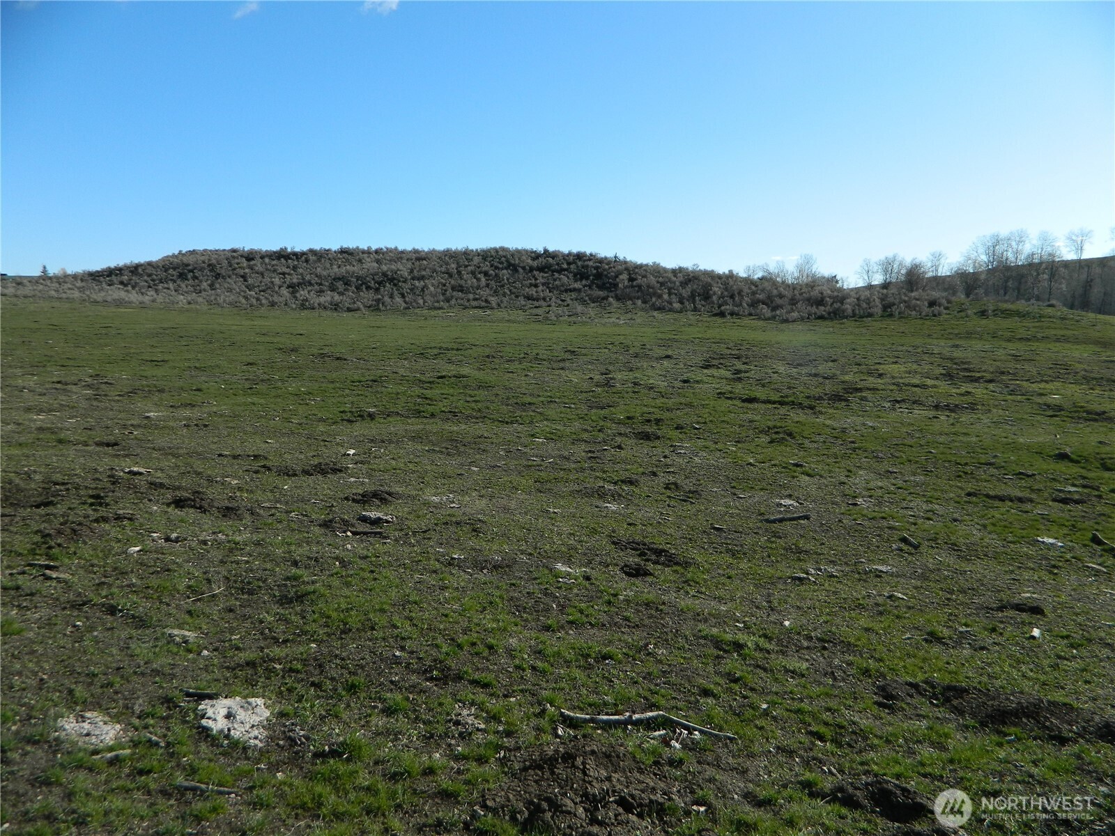 111 Tbd Ellemeham Mountain Ridge Road Tonasket WA 98855