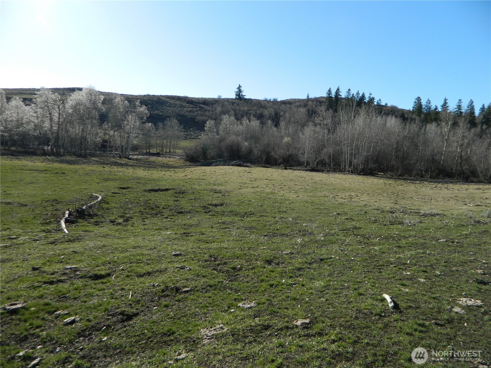 111 Tbd Ellemeham Mountain Ridge Road Tonasket WA 98855