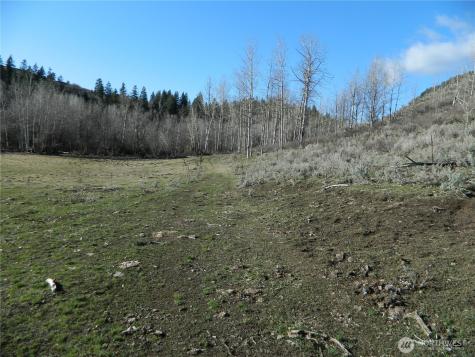 111 Tbd Ellemeham Mountain Ridge Road Tonasket WA 98855