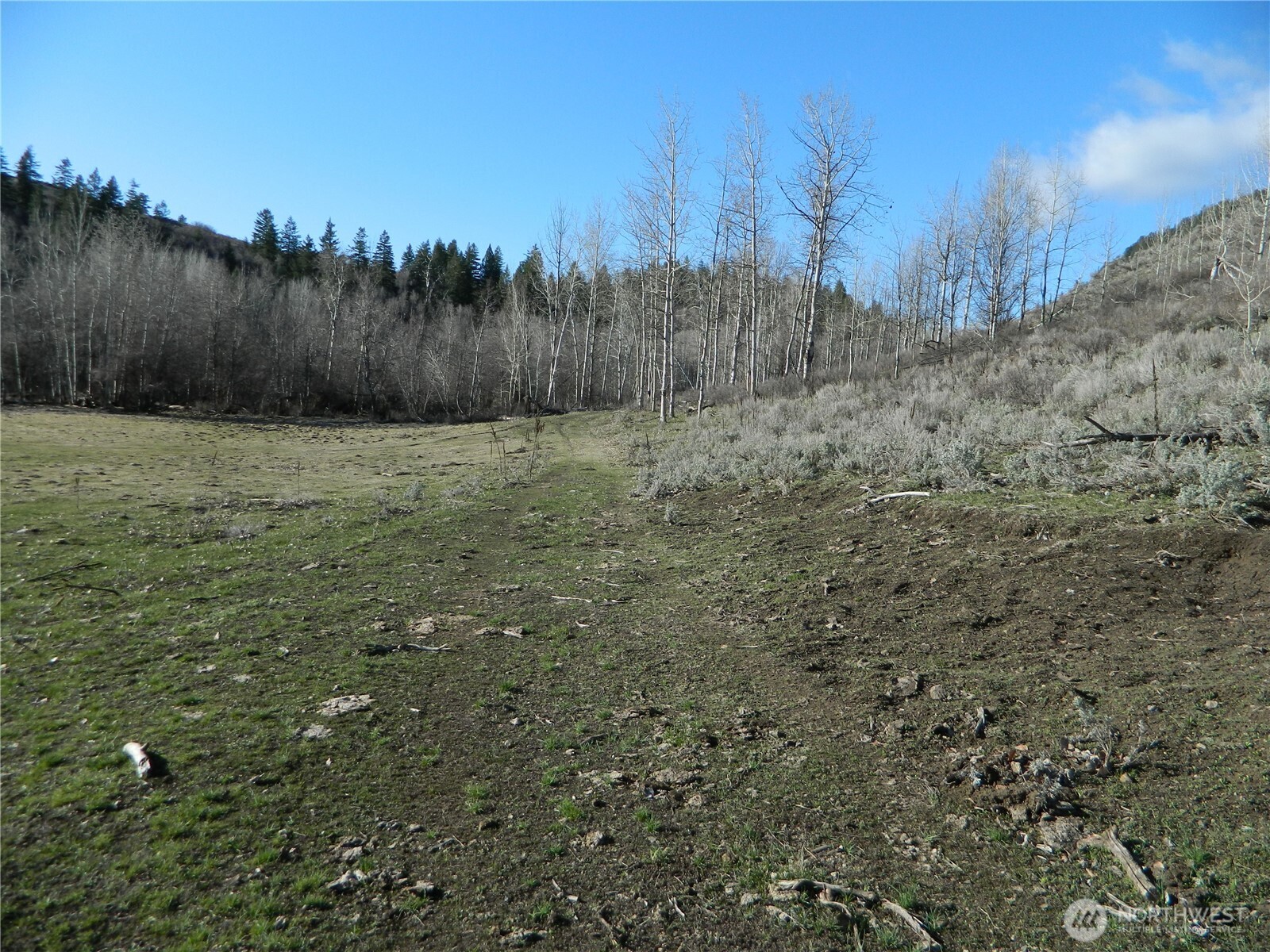 111 Tbd Ellemeham Mountain Ridge Road Tonasket WA 98855