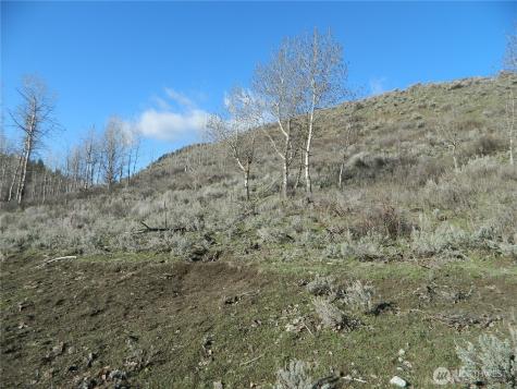 111 Tbd Ellemeham Mountain Ridge Road Tonasket WA 98855
