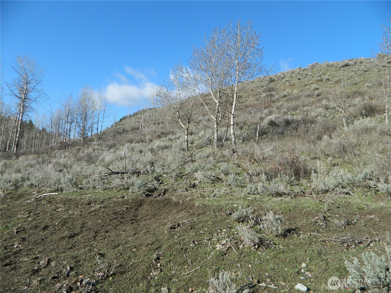 111 Tbd Ellemeham Mountain Ridge Road Tonasket WA 98855