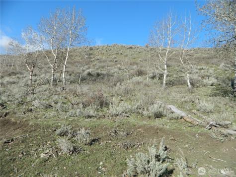 111 Tbd Ellemeham Mountain Ridge Road Tonasket WA 98855