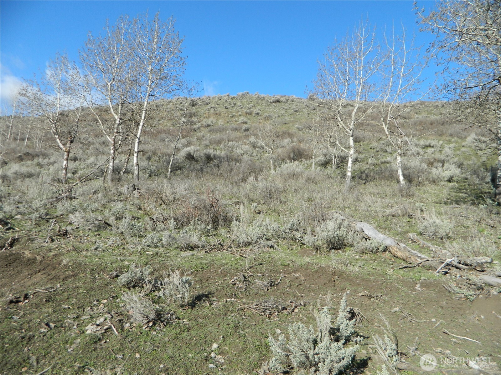111 Tbd Ellemeham Mountain Ridge Road Tonasket WA 98855