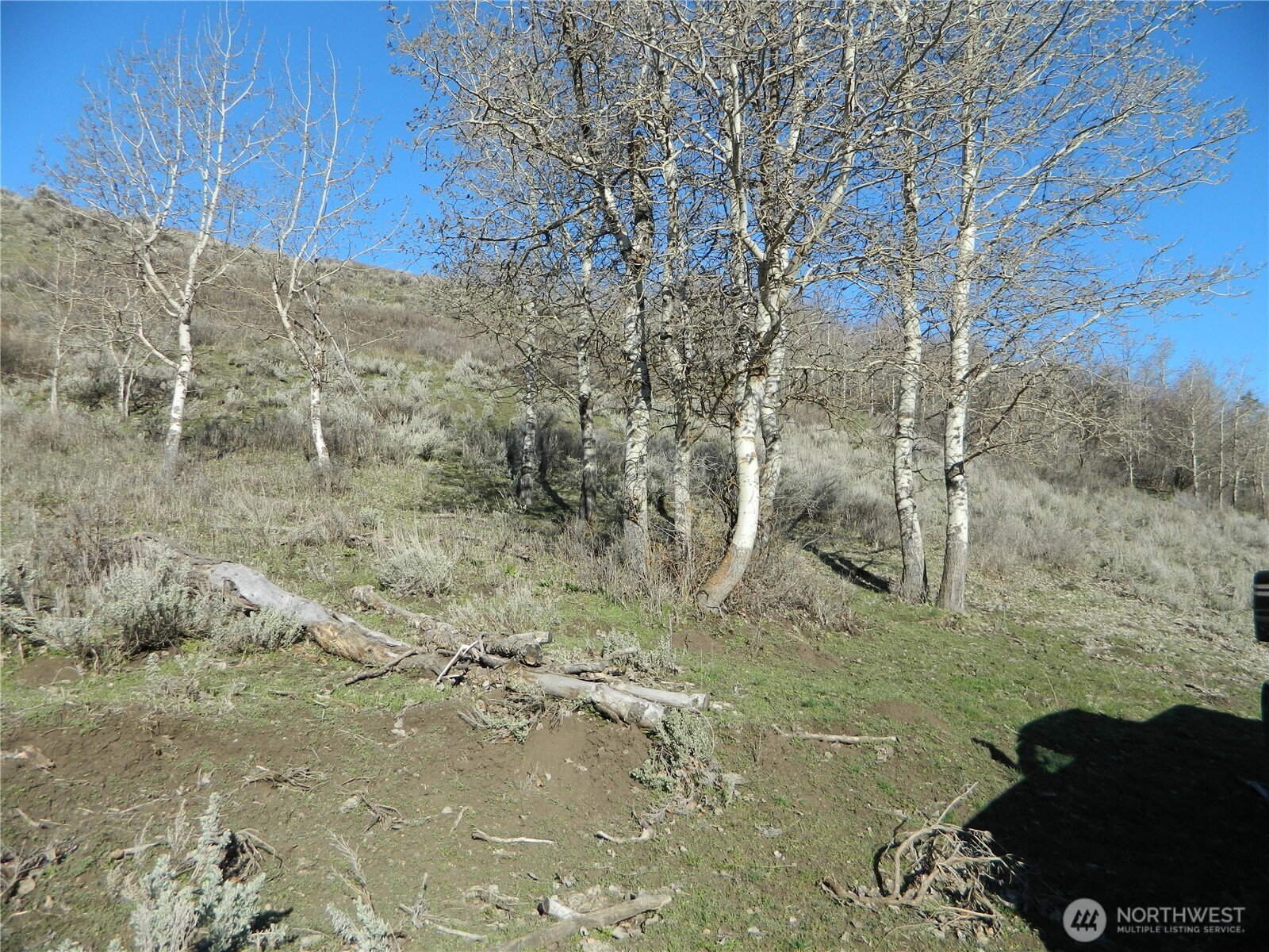111 Tbd Ellemeham Mountain Ridge Road Tonasket WA 98855