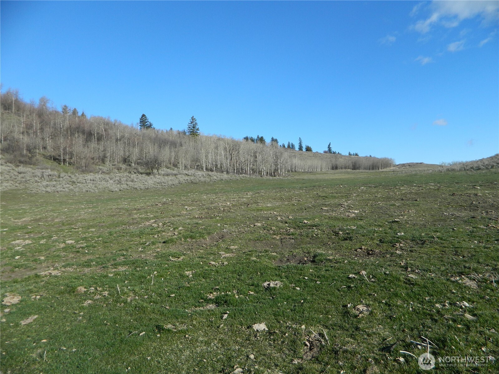 111 Tbd Ellemeham Mountain Ridge Road Tonasket WA 98855
