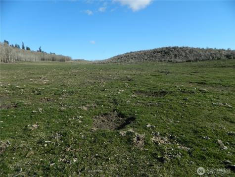 111 Tbd Ellemeham Mountain Ridge Road Tonasket WA 98855