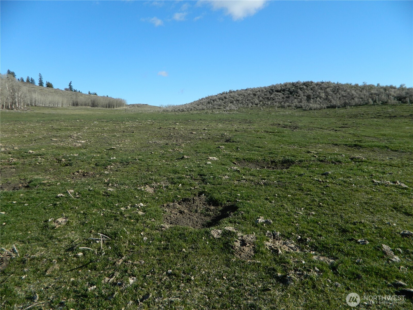 111 Tbd Ellemeham Mountain Ridge Road Tonasket WA 98855