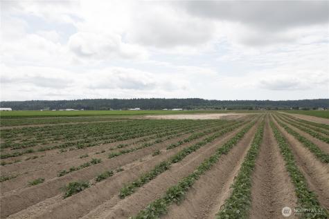 0 Downey Road Mount Vernon WA 98273