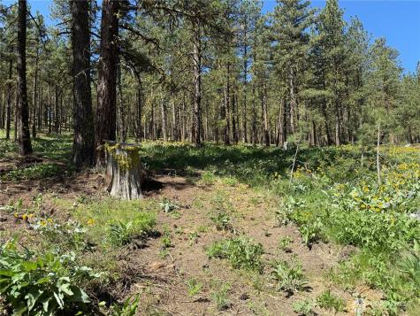 305 Sunrise Way East Wenatchee WA 98802